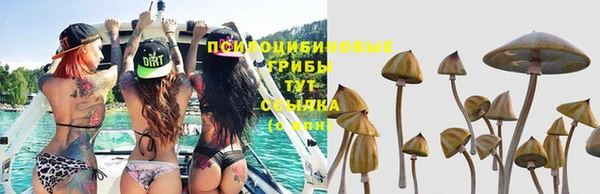 круглые Арсеньев